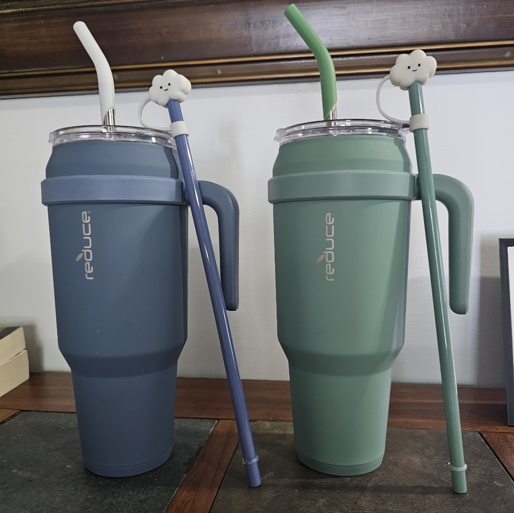 Insulated Stainless Tumblers with Straws - Blue and Green